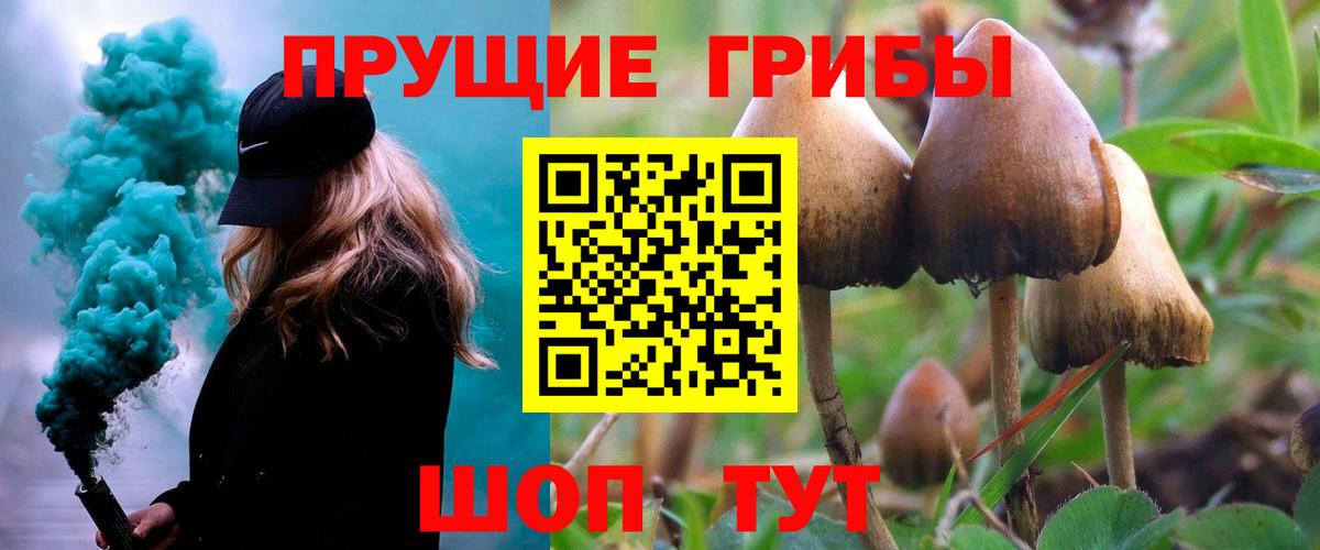 Галлюциногенные грибы Cubensis Сертолово